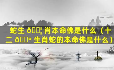 蛇生 🐦 肖本命佛是什么（十二 🐺 生肖蛇的本命佛是什么）